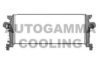 AUTOGAMMA 107313 Intercooler, charger